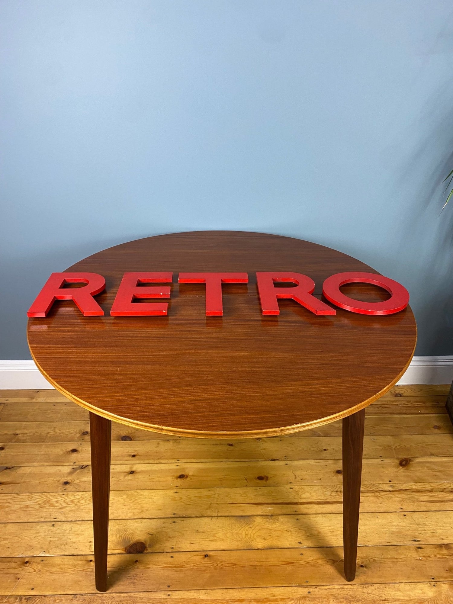 Curiosities - The Vintage Allure
