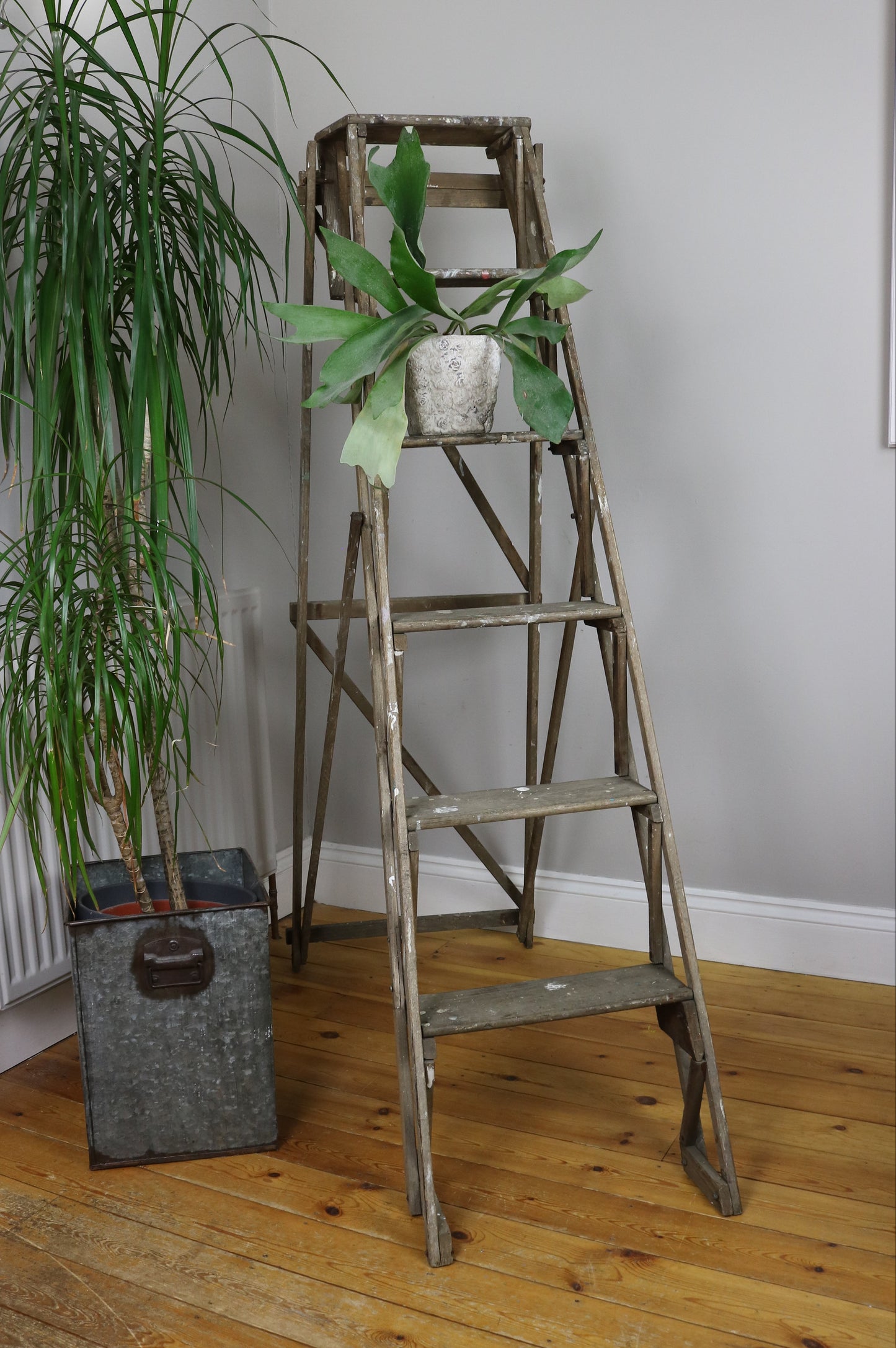 Hatherley Style Vintage Lattice Ladder
