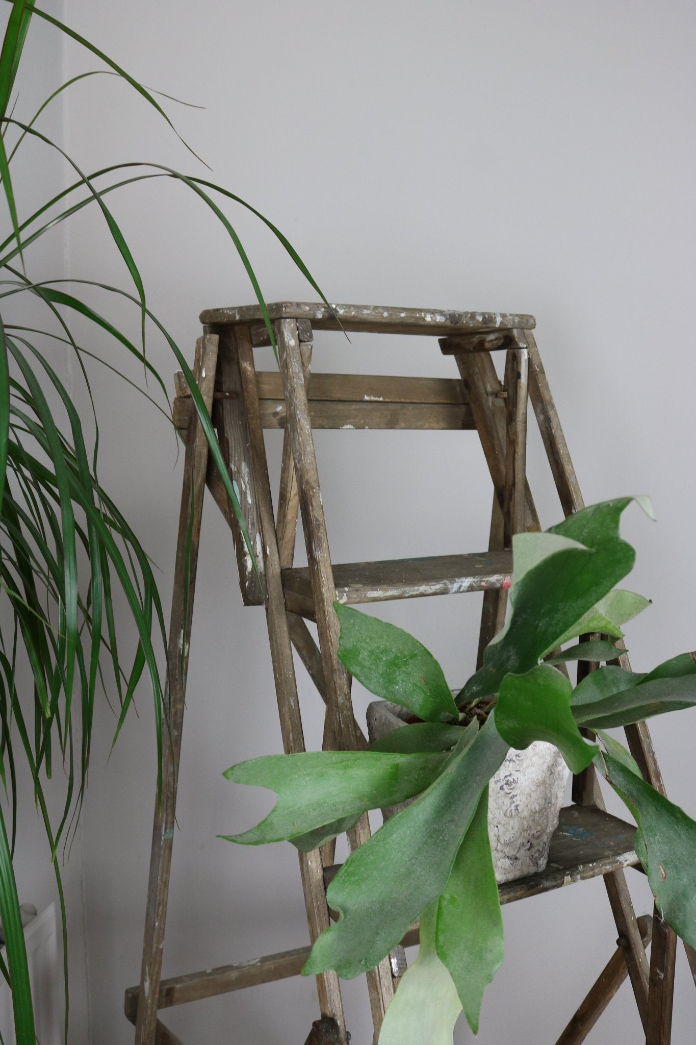 Hatherley Style Vintage Lattice Ladder - The Vintage Allure