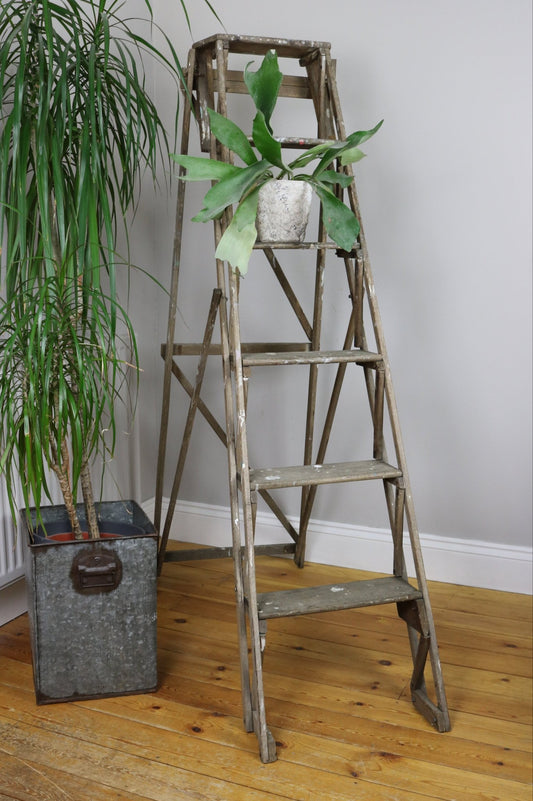 Hatherley Style Vintage Lattice Ladder - The Vintage Allure