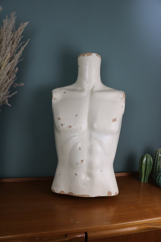 Male Mannequin Torso - The Vintage Allure