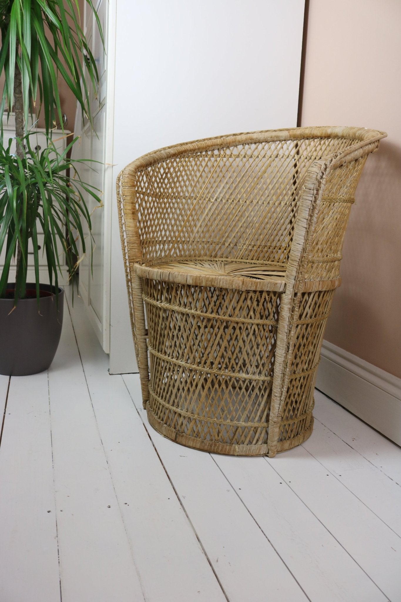 Vintage Bamboo Cane Peacock Chair - The Vintage Allure