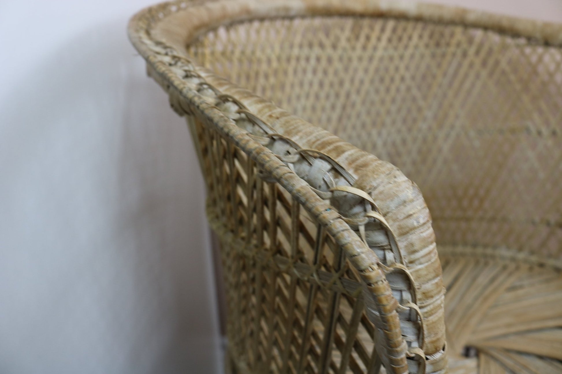 Vintage Bamboo Cane Peacock Chair - The Vintage Allure