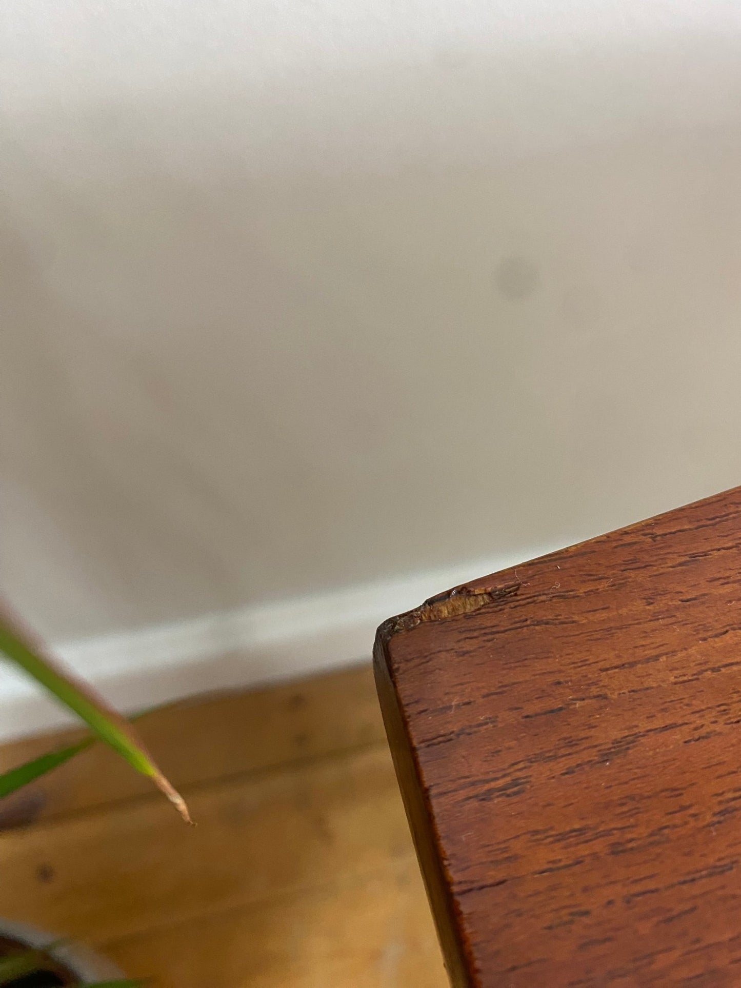 Vintage Danish Style Rounded Rectangle Dining Table - The Vintage Allure